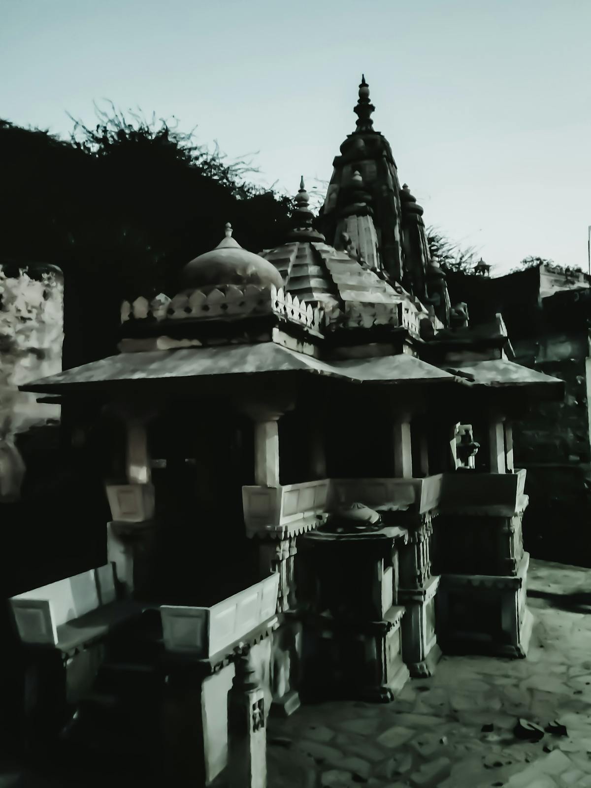 The Importance of Personal Branding in Career Growth